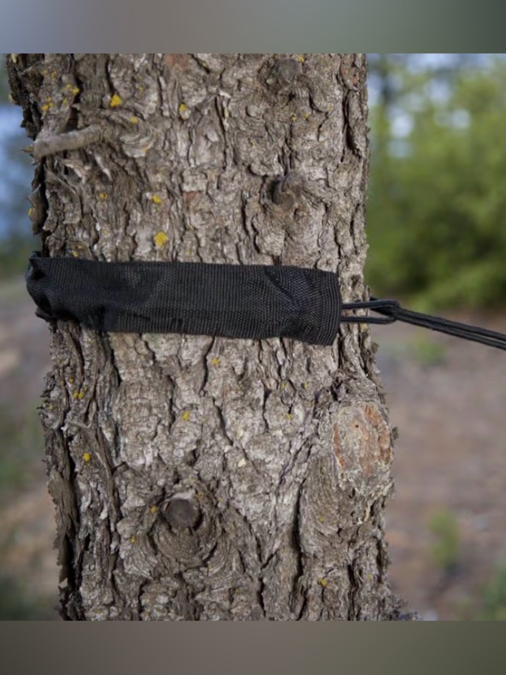 Grand Trunk Protective Tree Straps and Accessory Cords - Never Used